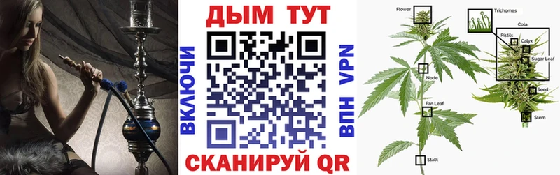Марихуана семена Зея
